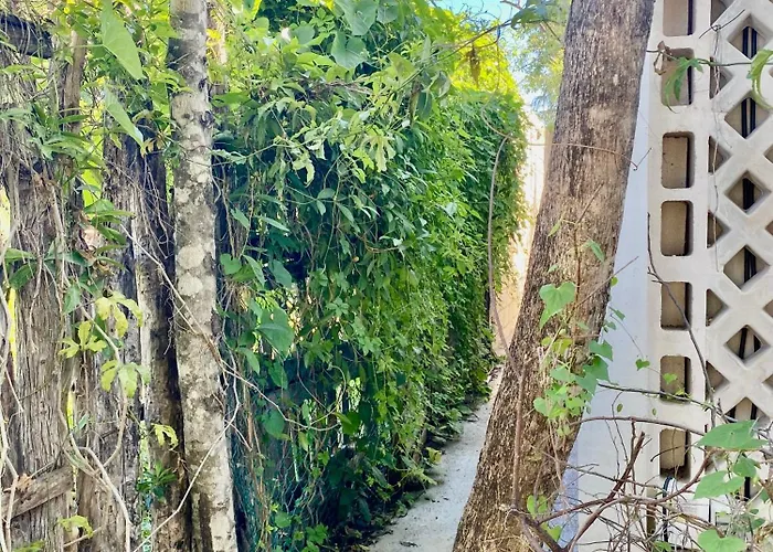 Casa Kuma *